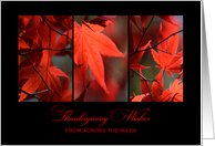 Thanksgiving Wishes From Across the Miles Red Autumn Leaves Trio card