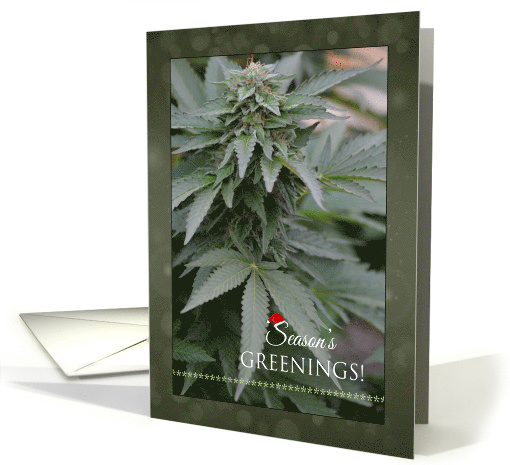 Weed Season's Greenings - Marijuana Christmas card (1459764)