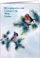 Christmas Birds Going Out on a Limb Robin and Little Chickadee card