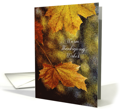 Warm Thanksgiving Wishes Autumn Leaves card (1548694)