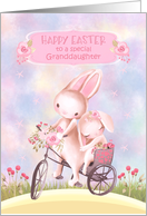 Happy Easter for Granddaughter Sweet Bunnies on a Bicycle card