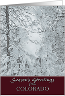 Season’s Greetings from Colorado Snow Covered Winter Trees card