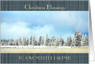Christmas Blessings to a Wonderful Partner Winterscape Trees card