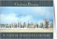 Christmas Blessings To Stepbrother & his Family Winterscape Trees card