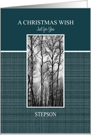 A Christmas Wish for Stepson Black and White Treescape card