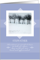 Christmas to Stepfather ~ Orchard Trees in Winter card