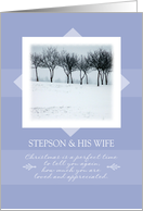 Christmas to Stepson and His Wife ~ Orchard Trees in Winter card