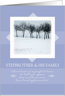Christmas to Stepbrother and His Family ~ Orchard Trees in Winter card