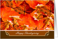 Happy Thanksgiving ~ Colors of Fall/Autumn Leaves card