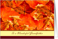 Happy Thanksgiving to Grandfather ~ Colors of Fall/Autumn Leaves card