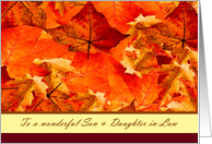 Thanksgiving to Son & Daughter in Law ~ Colors of Fall/Autumn Leaves card