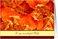 Happy Thanksgiving to Wife ~ Colors of Fall/Autumn Leaves card