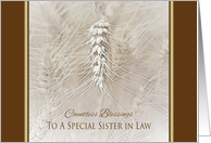 Thanksgiving Wheat To Sister in Law ~ Countless Blessings card