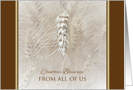 Thanksgiving Wheat From All of Us ~ Countless Blessings card