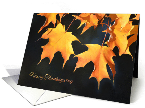 Happy Thanksgiving Golden Maple Leaves card (976859)