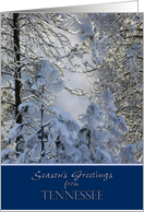 Season’s Greetings from Tennessee ~ Snow Covered Trees card