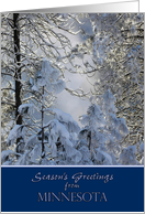 Season’s Greetings from Minnesota ~ Snow Covered Trees card