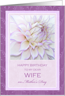 For Wife’s Birthday on Mother’s Day ~ Dahlia card