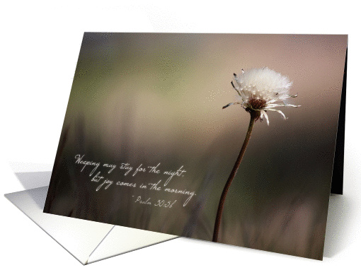 Joy Comes in the Morning - Note card (1149700)