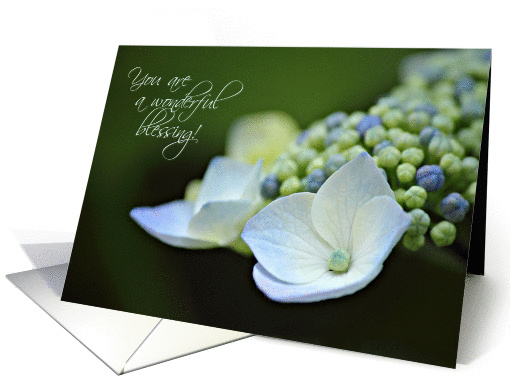 Wonderful Blessing - Note card (1155988)