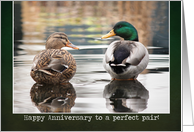 Perfect Pair - Anniversary Card