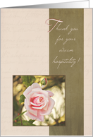 Thank You for Your Hospitality - Pink Rose card