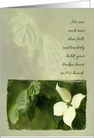 Dogwood Flower - Faith-based Sympathy Card