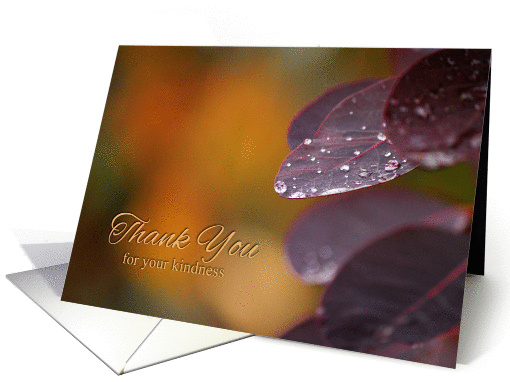 Rainy Day Leaves Thank You card (1432874)