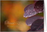 Rainy Day Leaves Thank You card