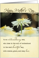 Mother’s Day Daisy card