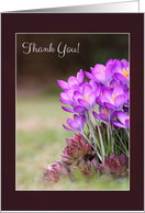 Purple Crocuses Thank You card