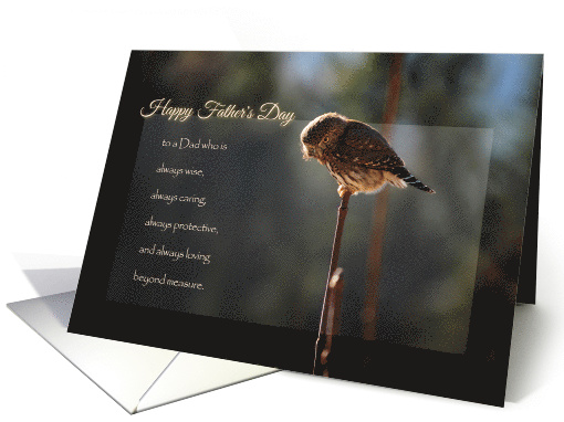 Wise and Loving Owl Father's Day for Husband from Wife card (1478292)