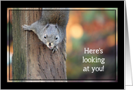 Here’s Looking at You Squirrel Congratulations card