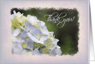 Hydrangea Thank You card