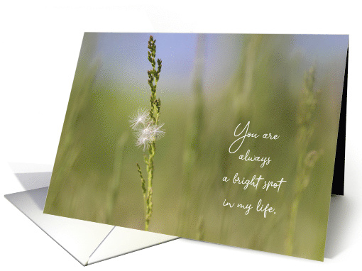 You're a Bright Spot in My Life Thank You card (1625548)