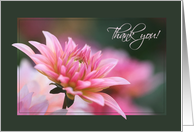 Pink Dahlia General Thank You card