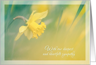 Cancer Flower Daffodil Sympathy card