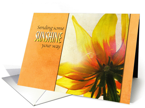 Thinking of You - Sending Sunshine card (863553)