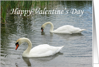 Swim Along With Me and Be My Love Happy Valentine’s Day card