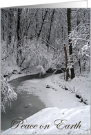 Peace on Earth Good Will to All, Stream with Snow Covered Trees card