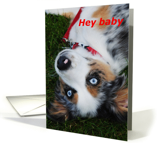 puppy, hey baby, love card (860731)