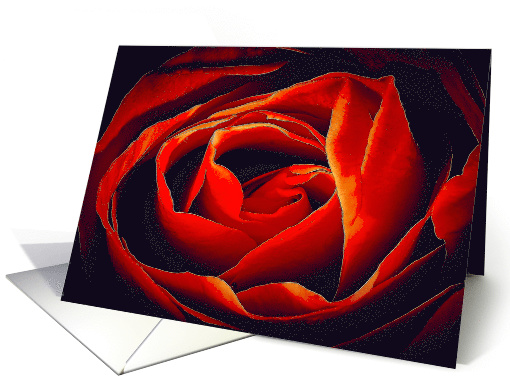 Red Rose Ablaze Blank Any Occasion card (1553616)
