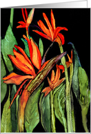 Bird of Paradise, Any Occasion Note Card, Blank Inside card