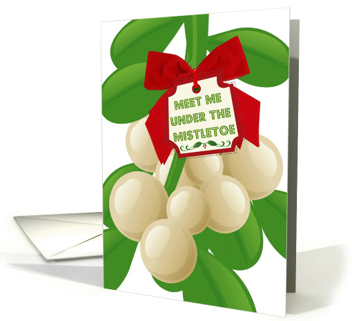 Meet me under the Christmas mistletoe that's hung over the bed! card