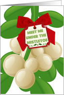 Meet me under the Christmas mistletoe that’s hung over the bed! card