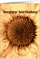 Happy Birthday, vintage, shabby chic sunflower, blank card