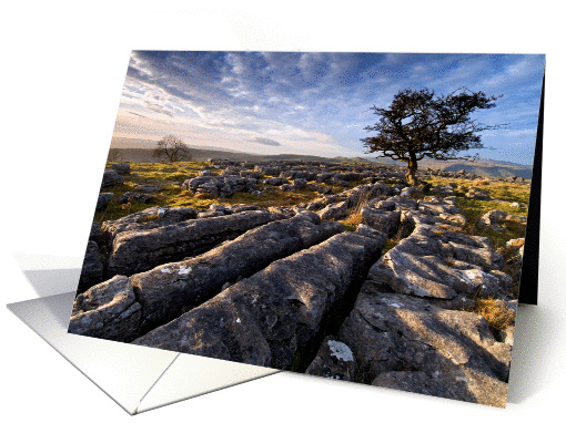 Birthday, Limestone Pavement and lone tree - The Yorkshire Dales card