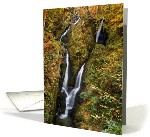 The Lake District, Cumbria - Stock Ghyll Force - Blank card (877257)
