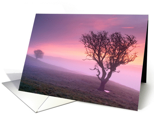 Pink misy sunrise with 2 trees, tranquil - customizable card (877470)