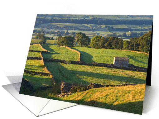 Early morning, barns and walls, The Yorkshire Dales -... (877502)